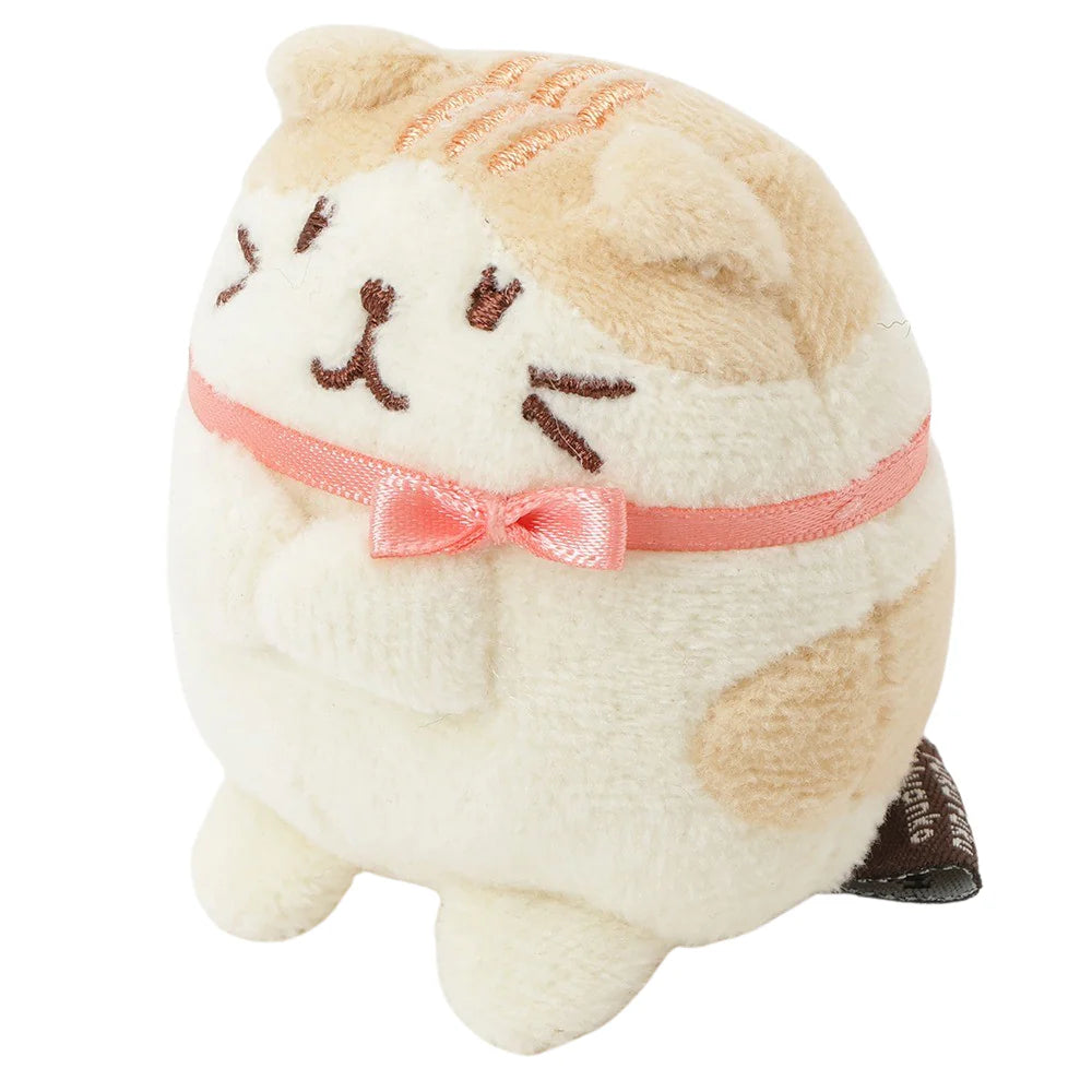 Hapins Kitten Small Scottish Fold