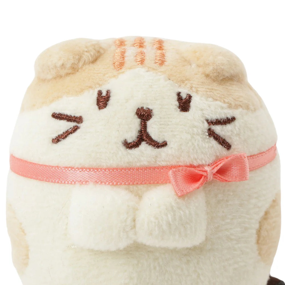Hapins Kitten Small Scottish Fold