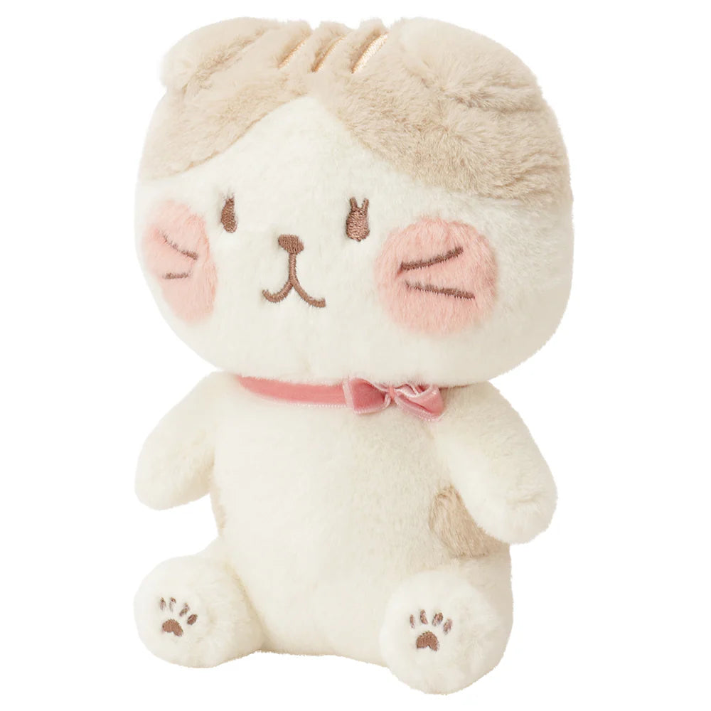 Hapins Blushing Lucky Series Scottish Fold