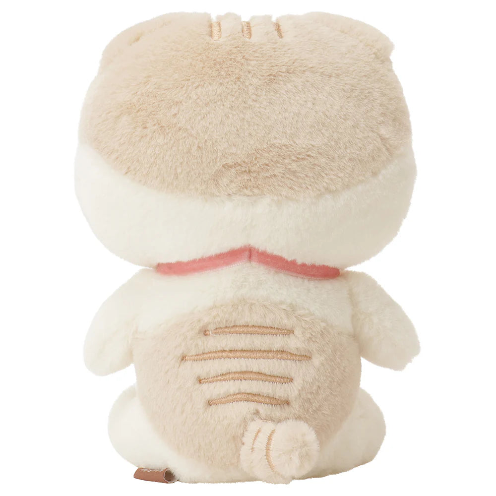 Hapins Blushing Lucky Series Scottish Fold