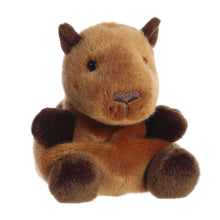 Load image into Gallery viewer, Palm Pal Capybara 13cm
