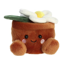 Load image into Gallery viewer, Palm Pal Junie Daisy 13cm
