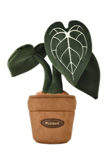 Load image into Gallery viewer, PlushWoods Klein Anthurium Plant Plush With Pot 25cm

