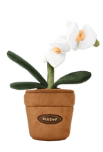 Load image into Gallery viewer, PlushWoods White Orchid Plant Plush With Pot 25cm
