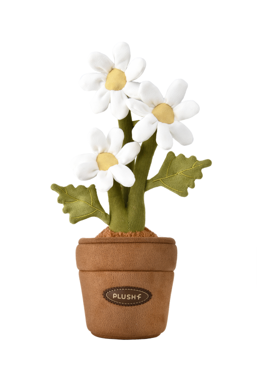 PlushWoods Daisy Plant Plush With Pot 25cm