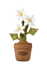 Load image into Gallery viewer, PlushWoods Daisy Plant Plush With Pot 25cm

