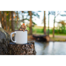 Load image into Gallery viewer, Fred Capybarahhh Tea Infuser
