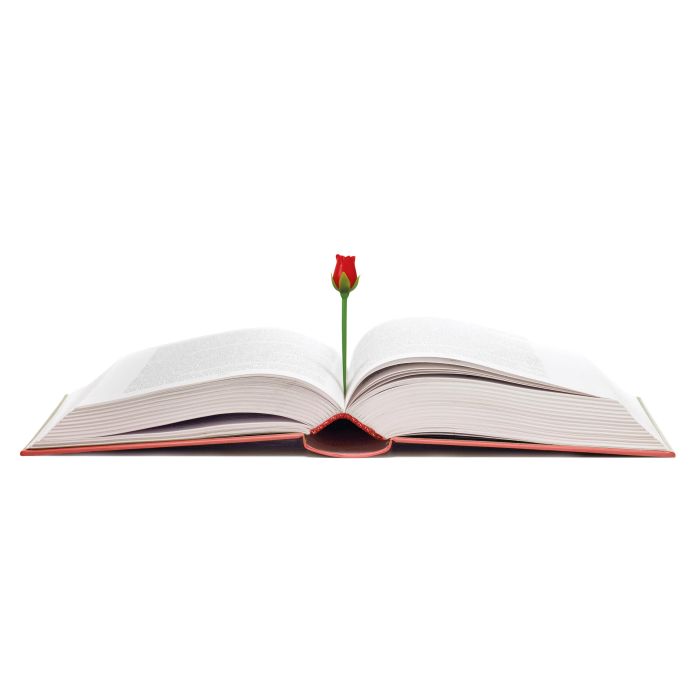 Fred Roses are Read Bookmarks 2pcs Set Multi-Coloured 2x1x8cm