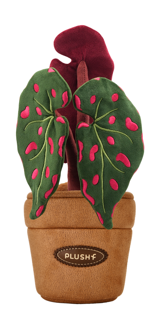 PlushWoods Begonia Negrosensis Plant Plush With Pot 22cm