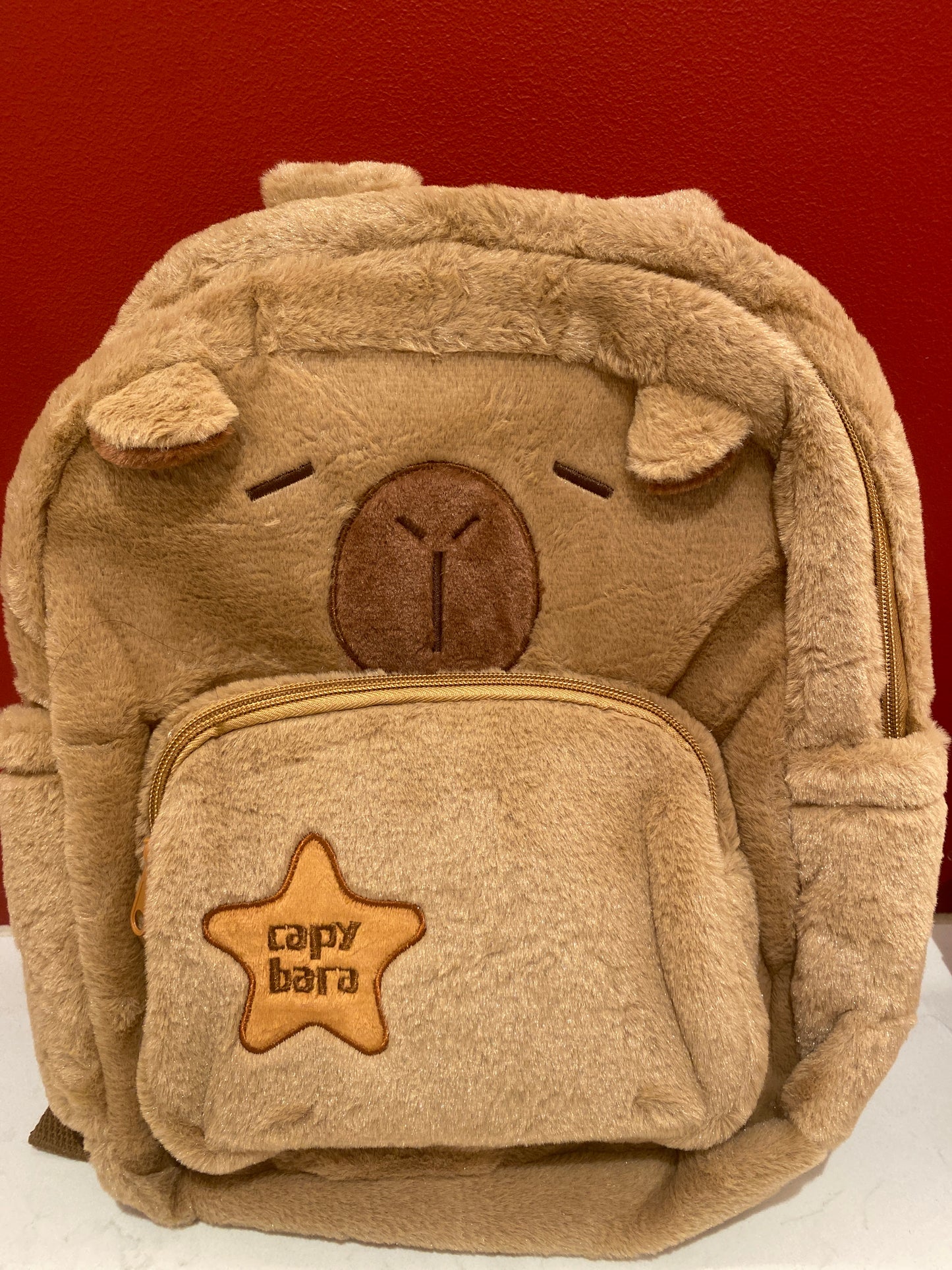 Capybara School Bag