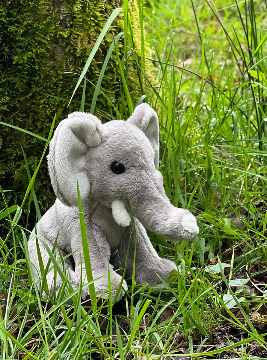 Cuddle Cubs by Charlie Bears Elephant – MeeQ