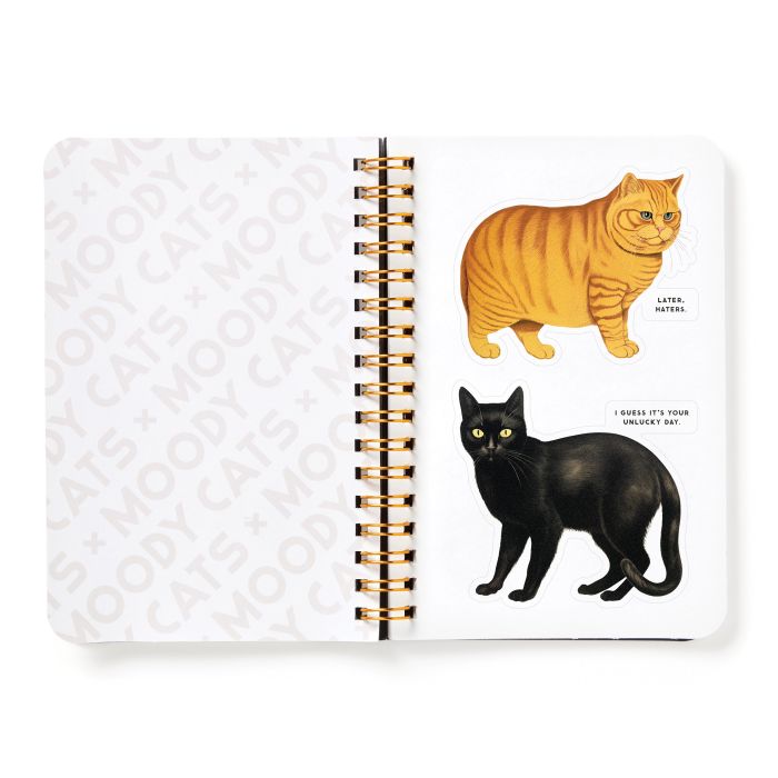 Brass Monkey Moody Cats Sticker Book Multi-Coloured 11x0.05x15cm