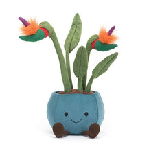 Load image into Gallery viewer, Jellycat Amuseable Bird of Paradise 38cm
