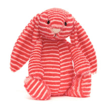 Load image into Gallery viewer, Jellycat Bashful Evey Bunny Original (Medium) 31cm
