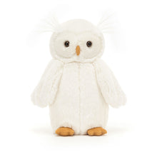 Load image into Gallery viewer, Jellycat Bashful Owl Original (Medium) 24cm
