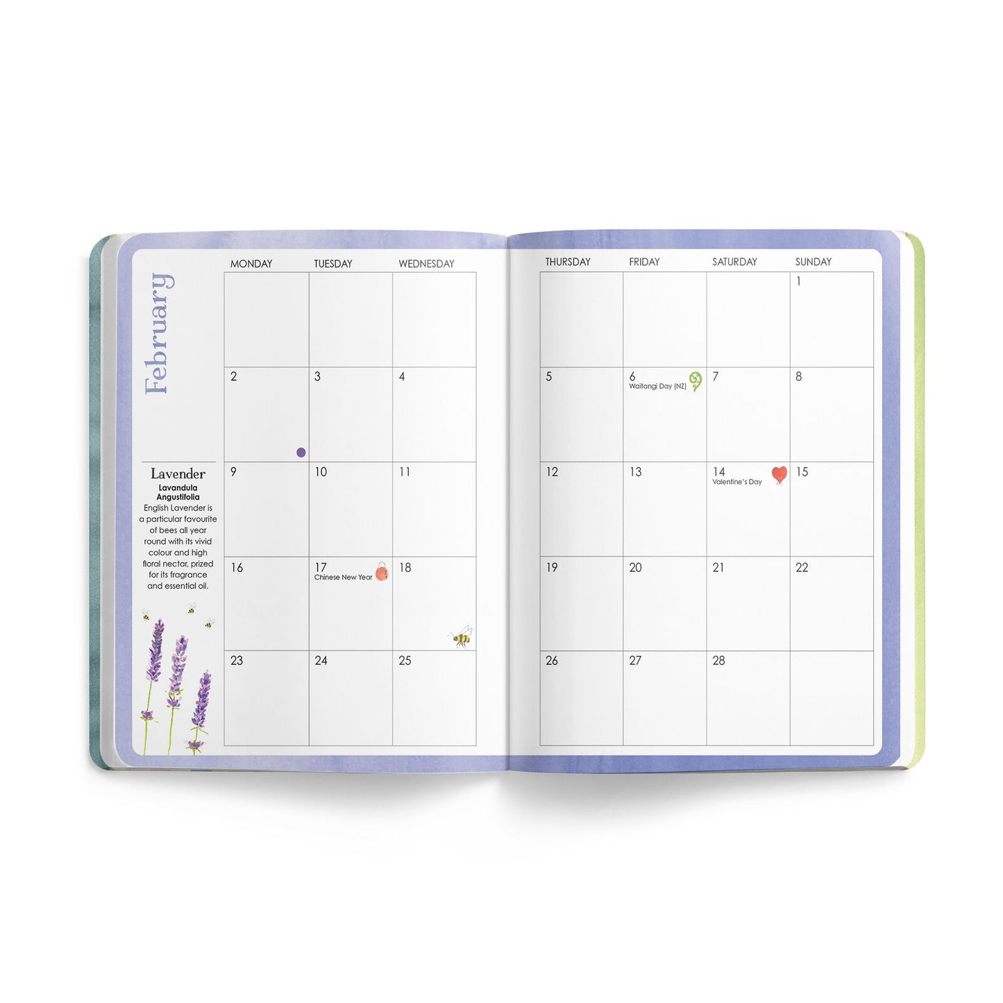 Affirmations - 2026 Bee Diary