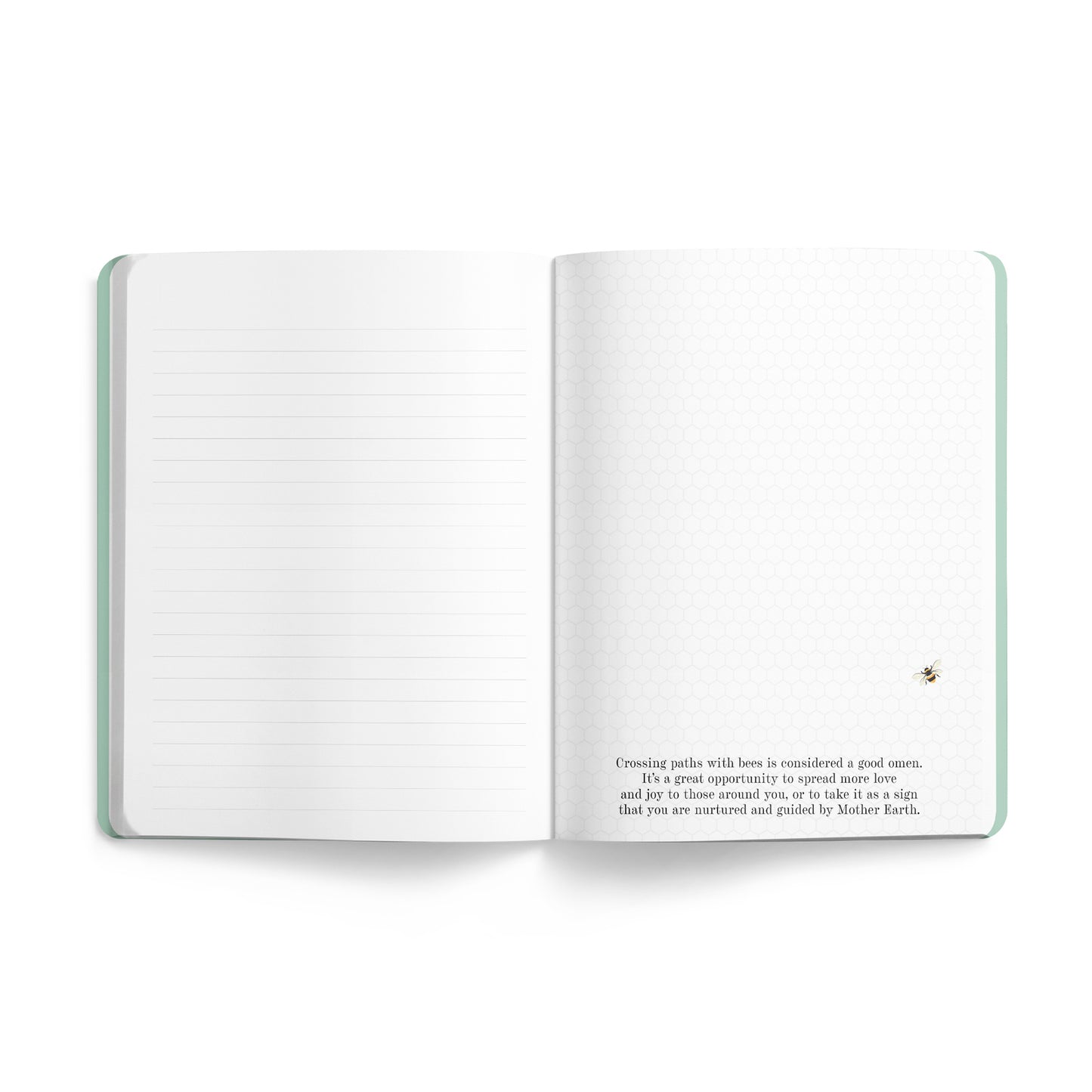 Affirmations 2025 Bee Journal