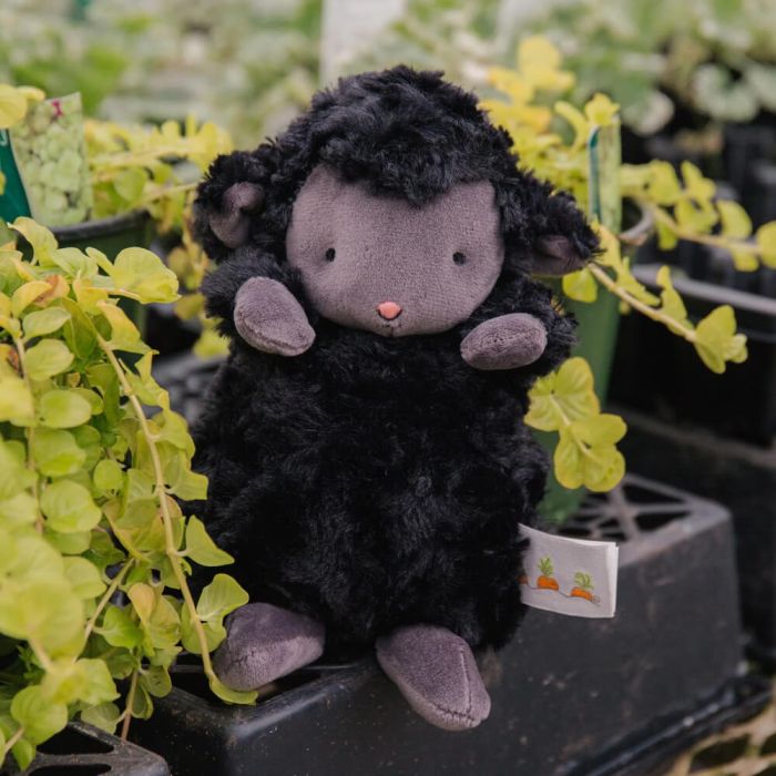 Bunnies by the Bay: Wee Kiddo The Lamb Black 18cm
