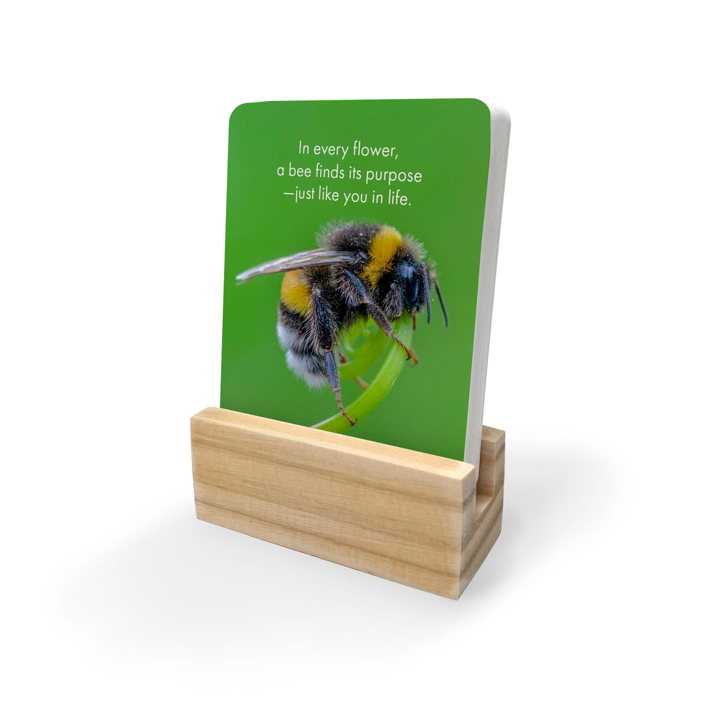 DBV - Believe in Yourself - 24 Animal affirmation