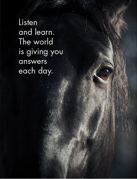 Affirmations - 24 Animal Cards - Horse Sense - DHO