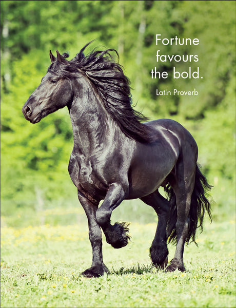 Affirmations - 24 Animal Cards - Horse Sense - DHO