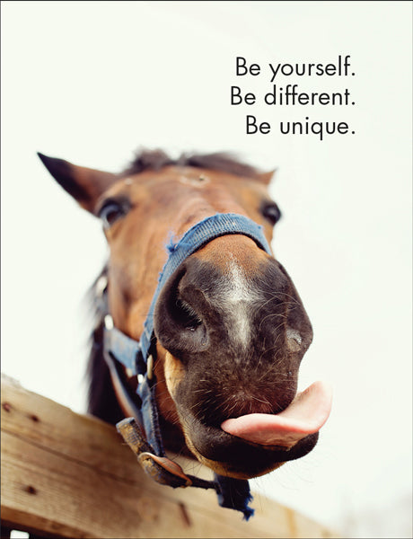 Affirmations - 24 Animal Cards - Horse Sense - DHO