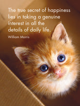 Load image into Gallery viewer, Affirmations 24 Cards - Kitten Tales - DKT
