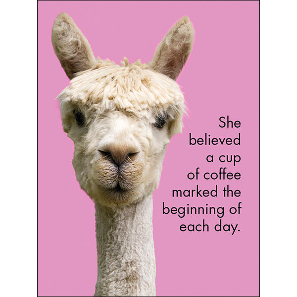 Affirmation 24 Cards - Llama Nirvana - DLN