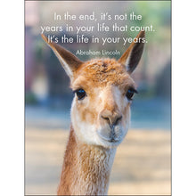 Load image into Gallery viewer, Affirmation 24 Cards - Llama Nirvana - DLN

