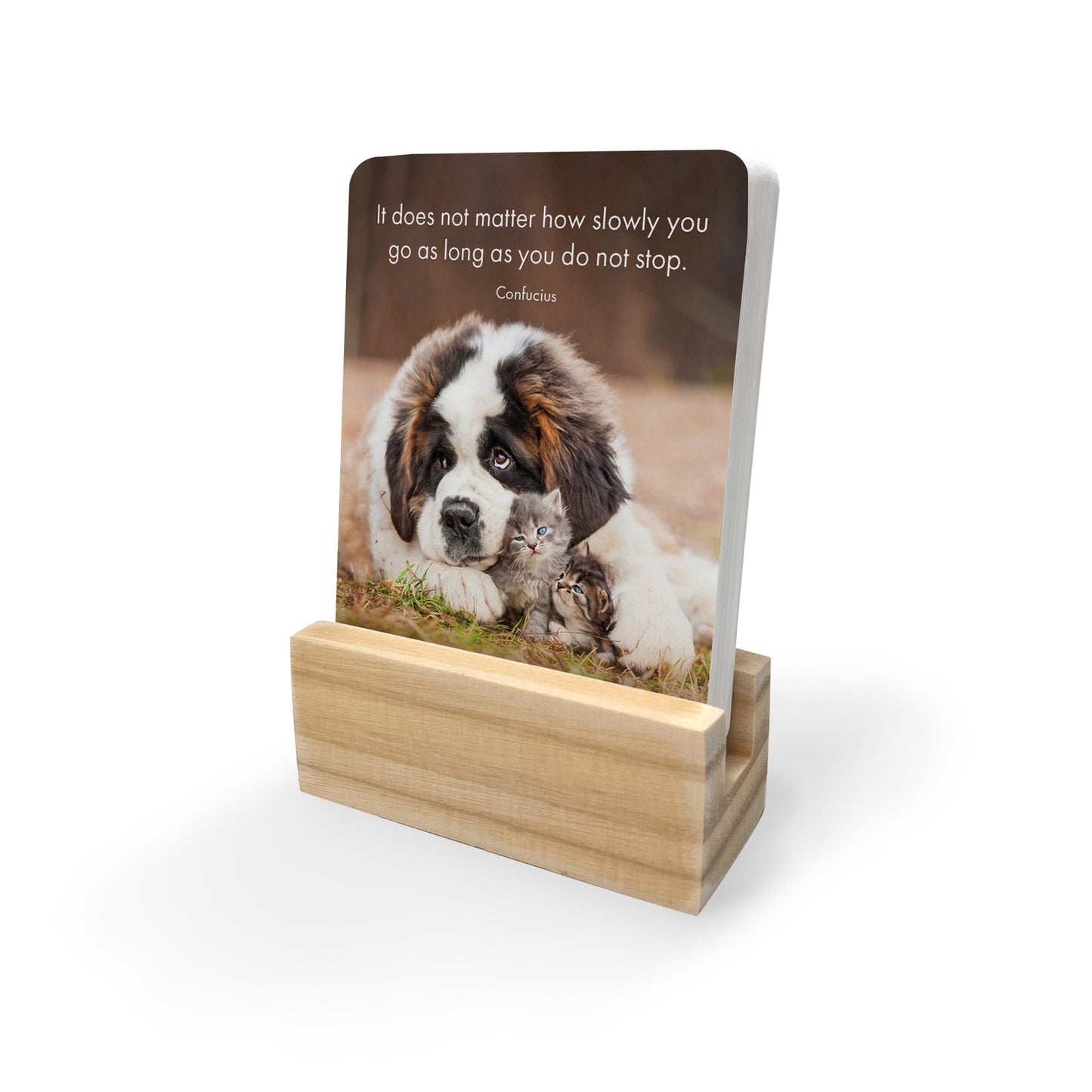 Affirmations - Little Paws - 24 Animal affirmation cards + stand