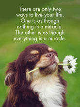 Load image into Gallery viewer, 24 Animal Affirmation Cards + Stand - Puppy Love
