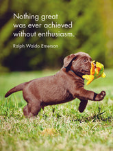 Load image into Gallery viewer, 24 Animal Affirmation Cards + Stand - Puppy Love
