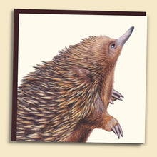 Load image into Gallery viewer, Papernest Echidna Blank Card
