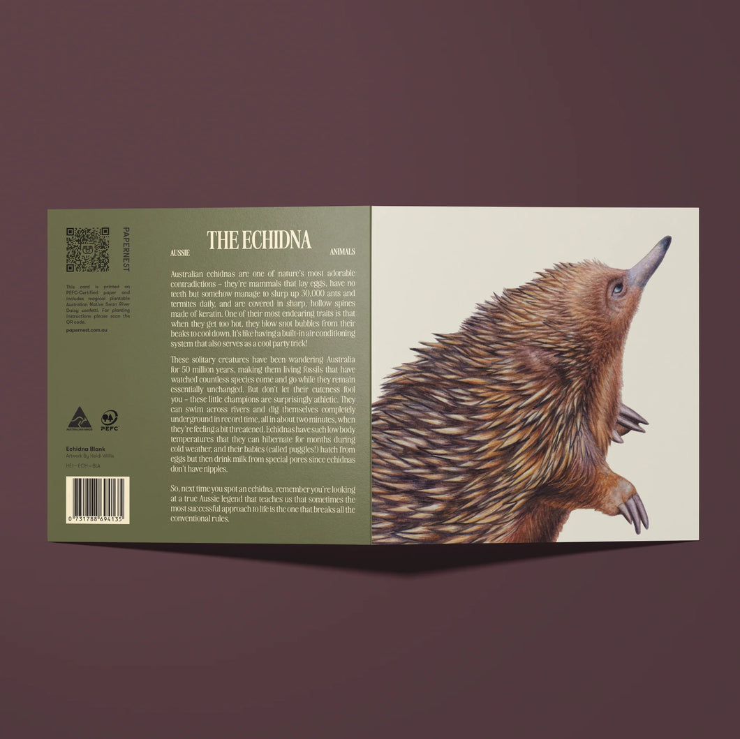 Papernest Echidna Blank Card