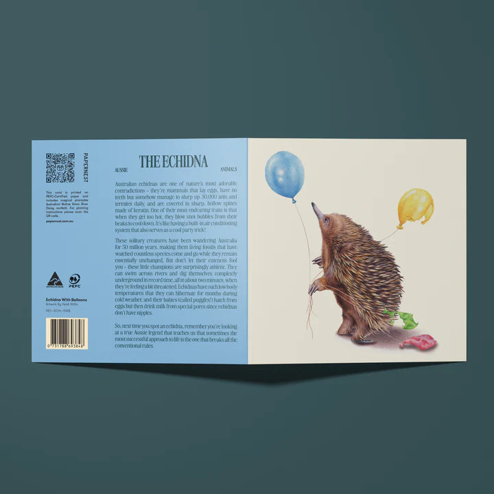 Papernest Echidna With Balloons Card