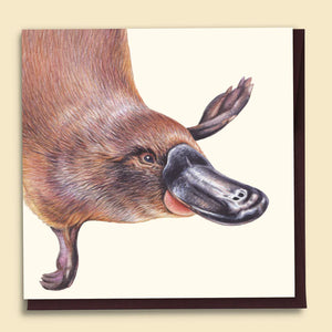 Papernest Platypus Blank Card