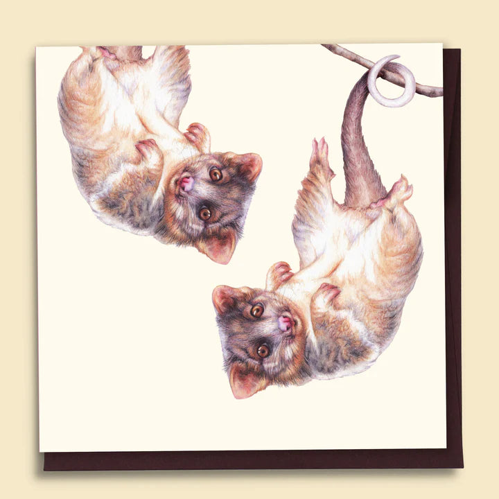 Ringtail Possum Blank Card