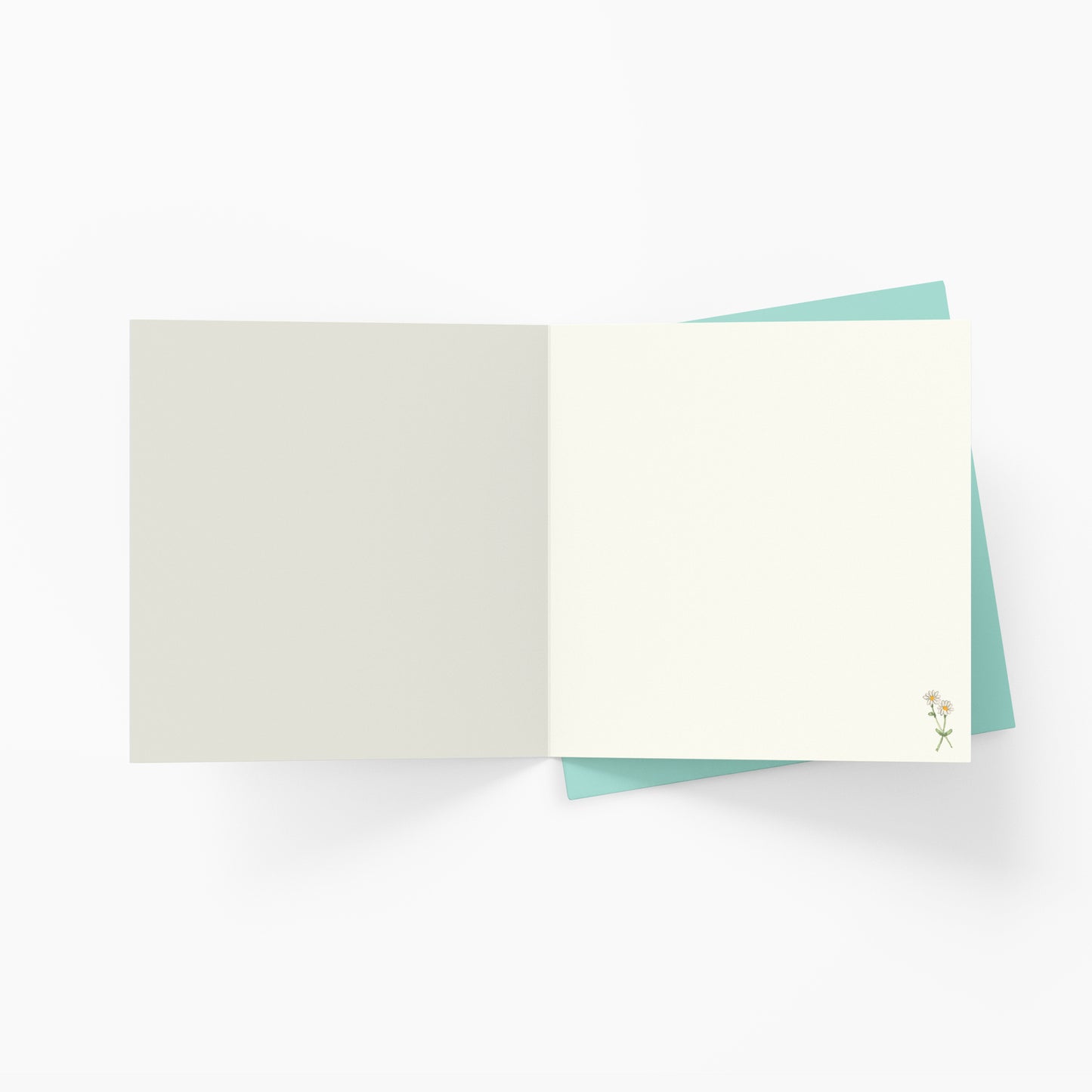 Affirmations - Twigseeds Birthday Card - Happy Birthday K368