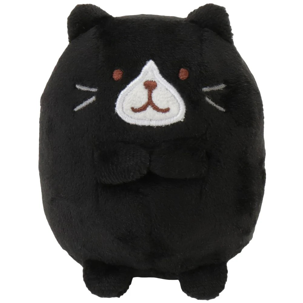 Hapins Kitten Medium Tuxedo Cat