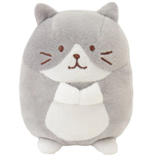 Load image into Gallery viewer, Hapins Kitten Medium Ragdoll Cat
