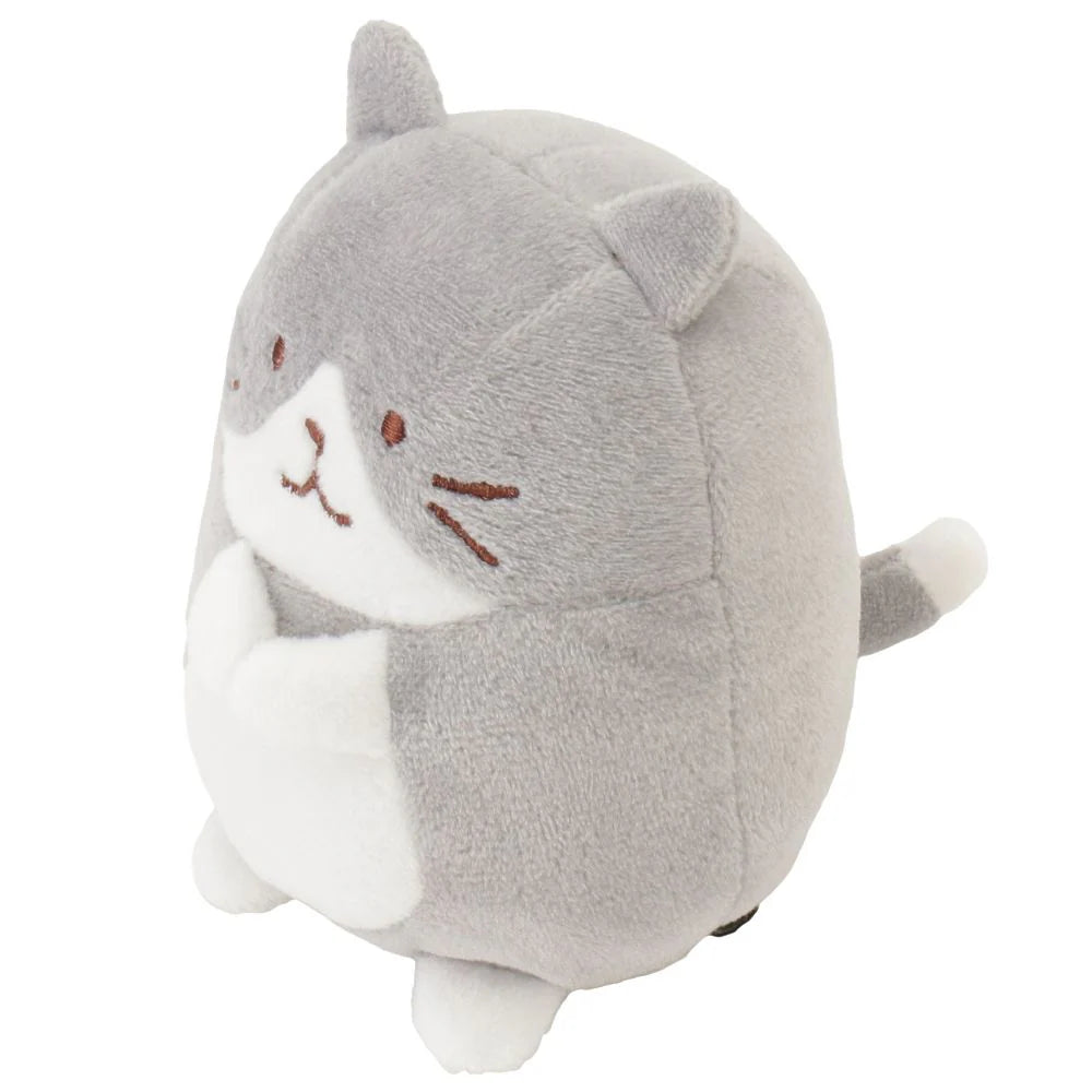 Hapins Kitten Medium Ragdoll Cat