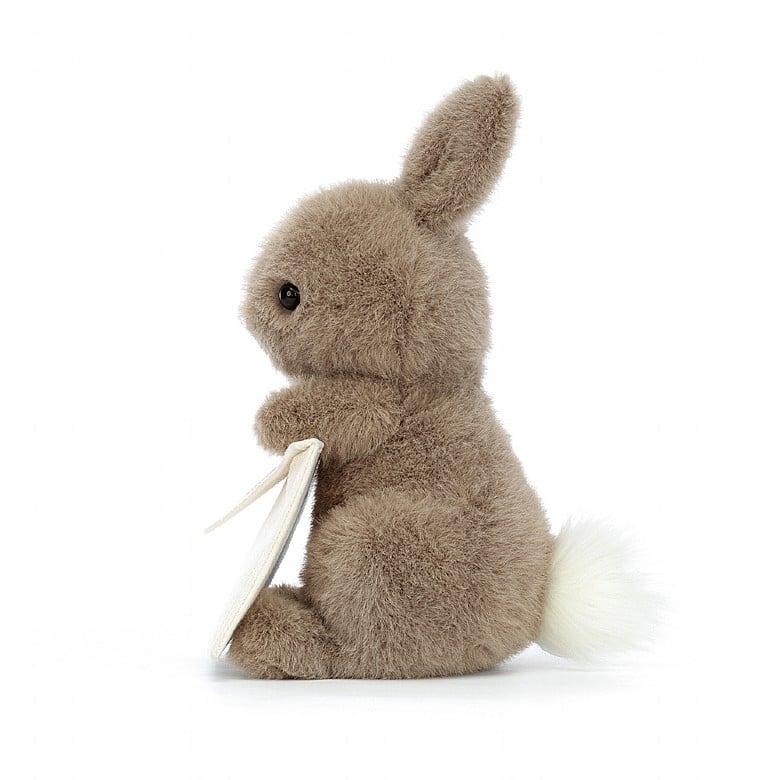 Jellycat Messenger Bunny 19cm