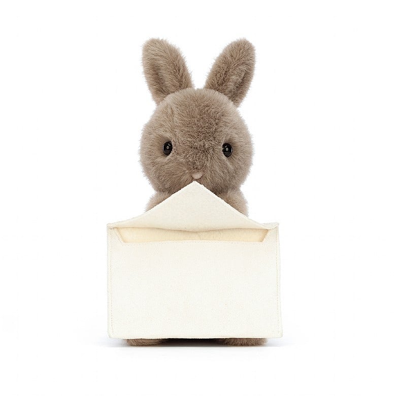 Jellycat Messenger Bunny 19cm