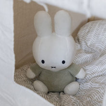 Load image into Gallery viewer, MIFFY Fluffy Cuddle Plush Green Large (35cm)
