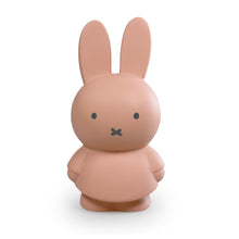 Load image into Gallery viewer, Miffy Powder Money Box 19cm
