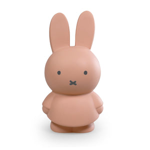 Miffy Powder Money Box 19cm