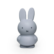 Load image into Gallery viewer, Miffy Silver Blue Money Box 13.5cm
