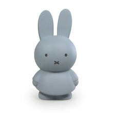 Load image into Gallery viewer, Miffy Silver Blue Money Box 19cm

