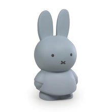 Load image into Gallery viewer, Miffy Silver Blue Money Box 19cm
