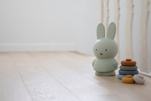 Load image into Gallery viewer, Miffy Eucalyptus Money Box 13.5cm
